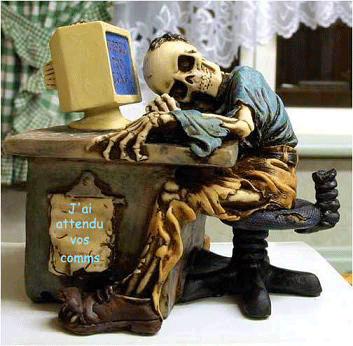 Toi